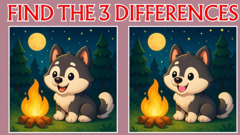 Spot 3 differences in this cat picture, only 1% can find them in 15 ...