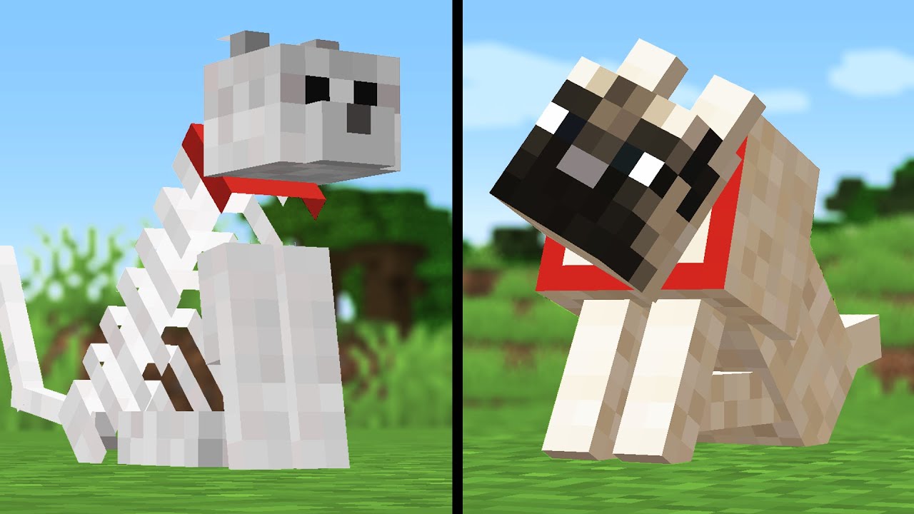 10 pet updates Minecraft needs