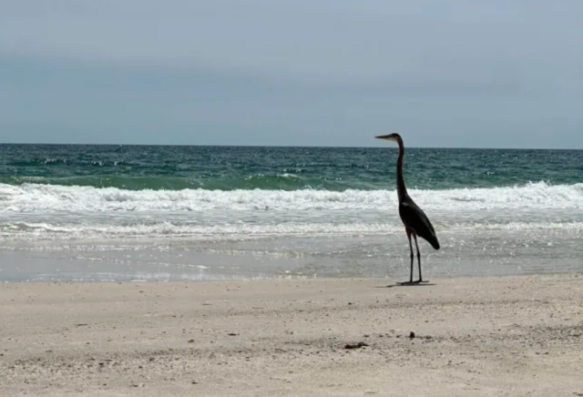 Outraged vacationer captures photo of tourists' heinous act against ...