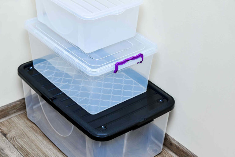 11 Things You Should Store in Clear Bins, According to a Professional ...