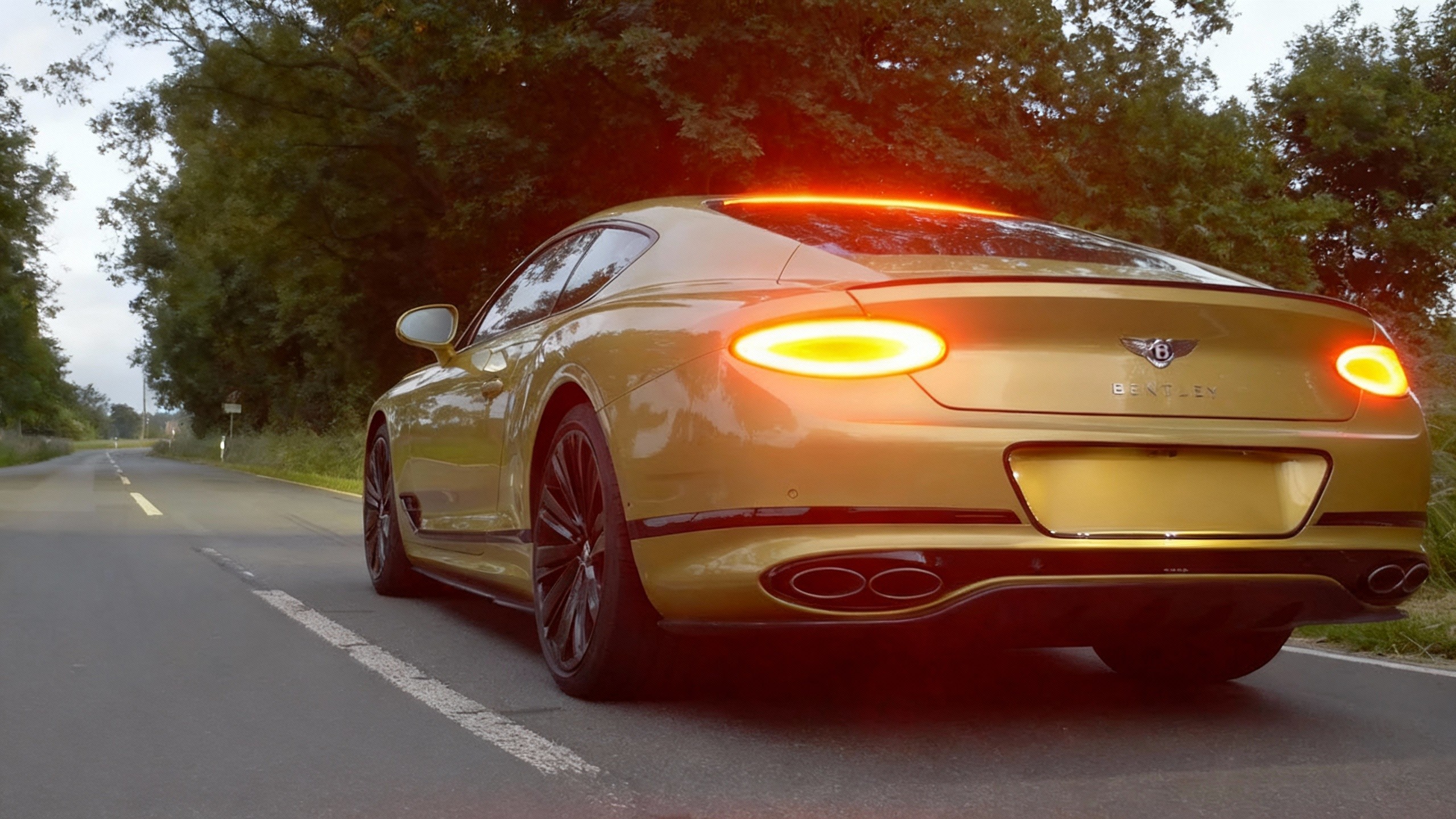 Can a Bentley Really Hit 347 KM/H?