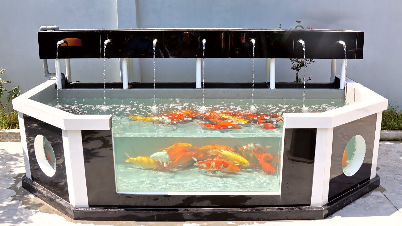 Create your dream aquarium: 2m³ setup tips
