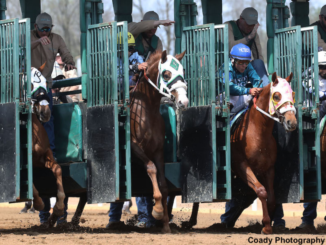 Kentucky Quarter Horse Track Sandy Ridge Racetrack Awarded Eight Dates ...