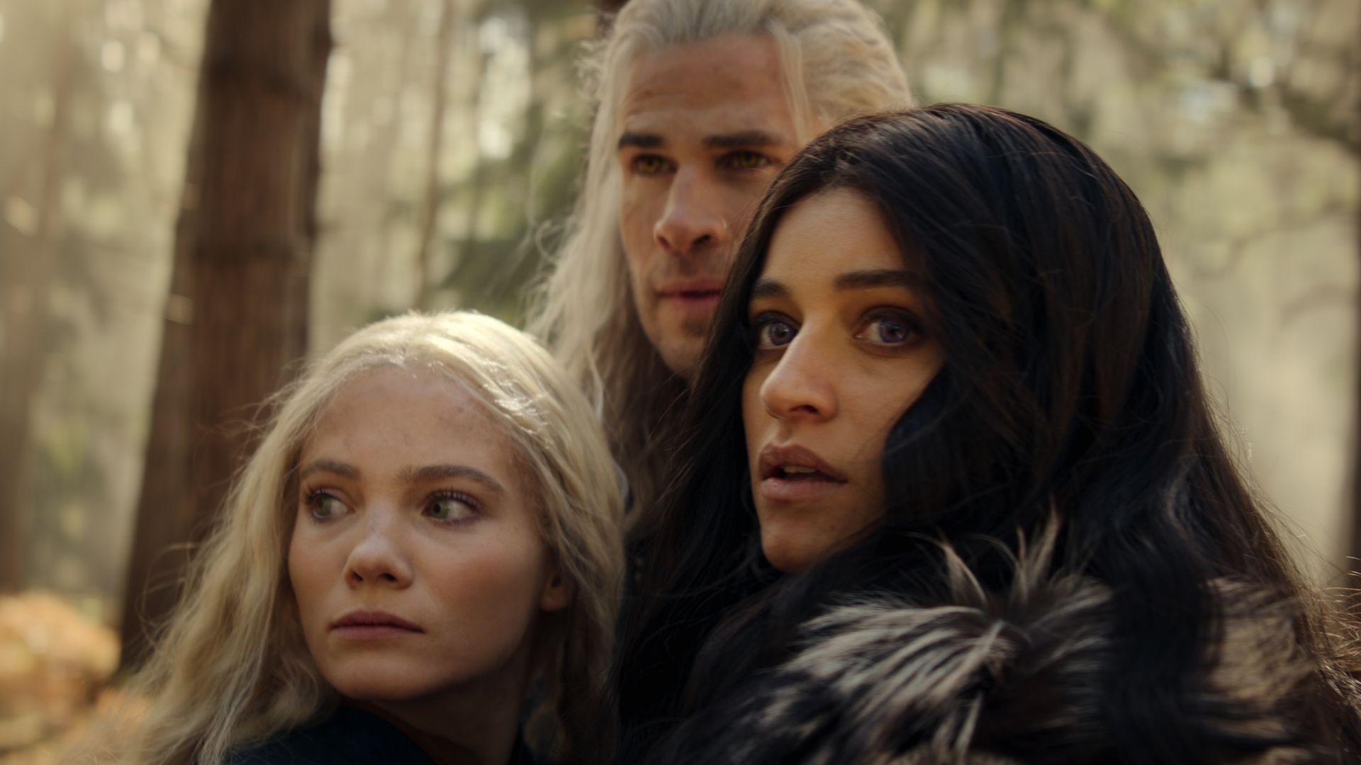 netflix-fans-divided-over-the-witcher-season-4-after-liam-hemsworth