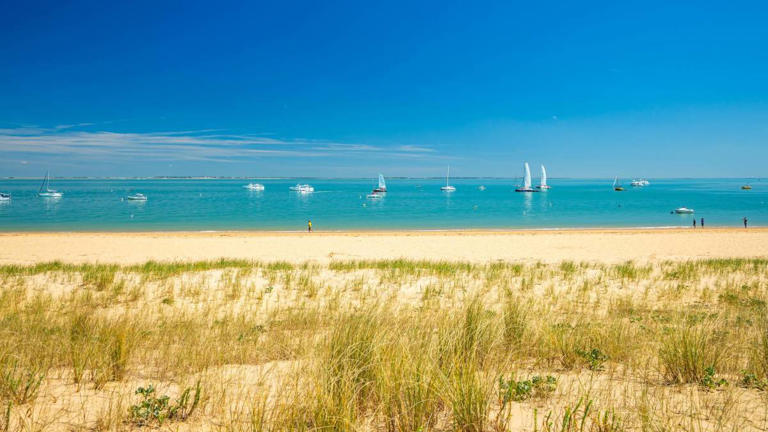 Discover the hidden French island of Île d’Oléron