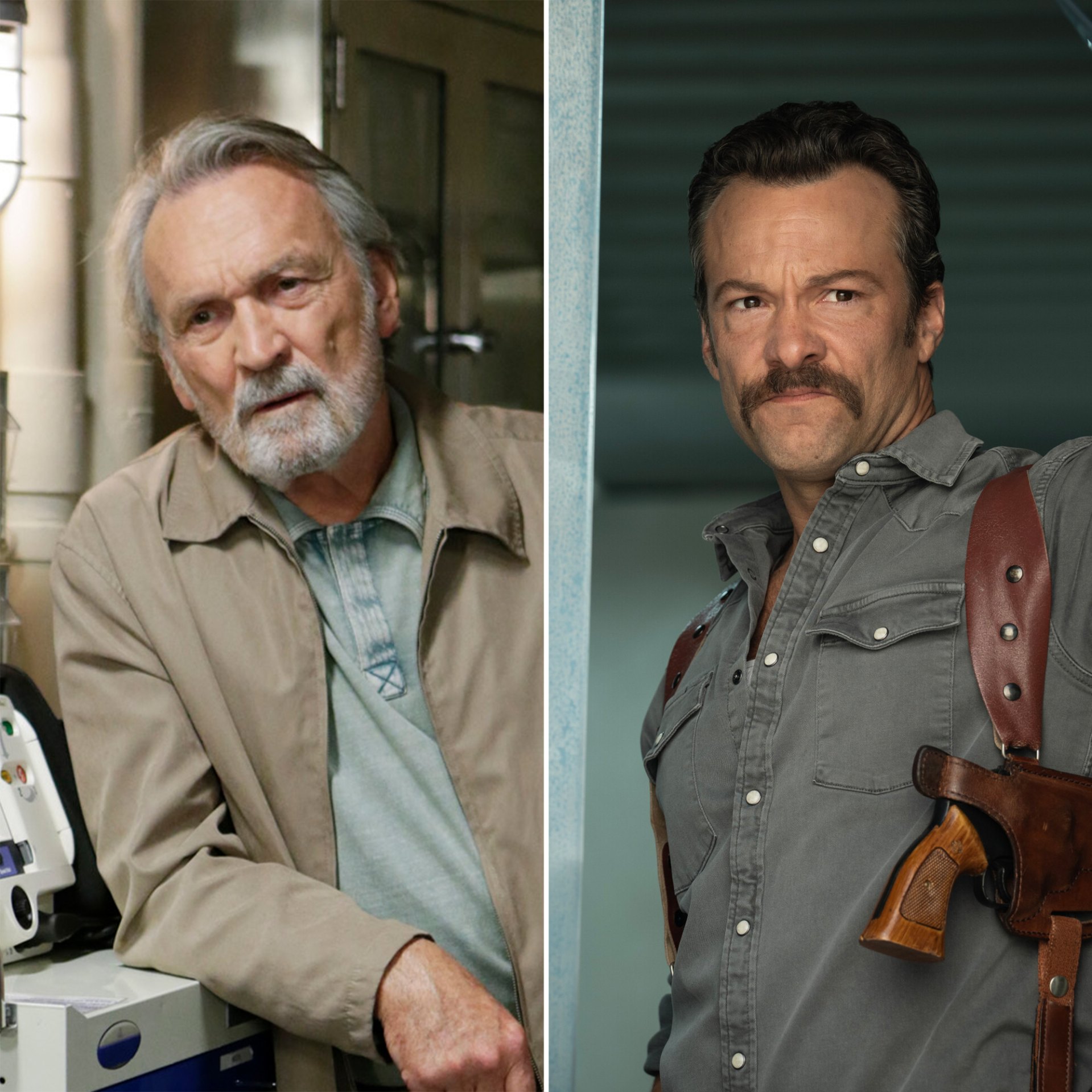 Did You Catch the OG Vera's Return on 'NCIS' and 'Origins' Crossover?