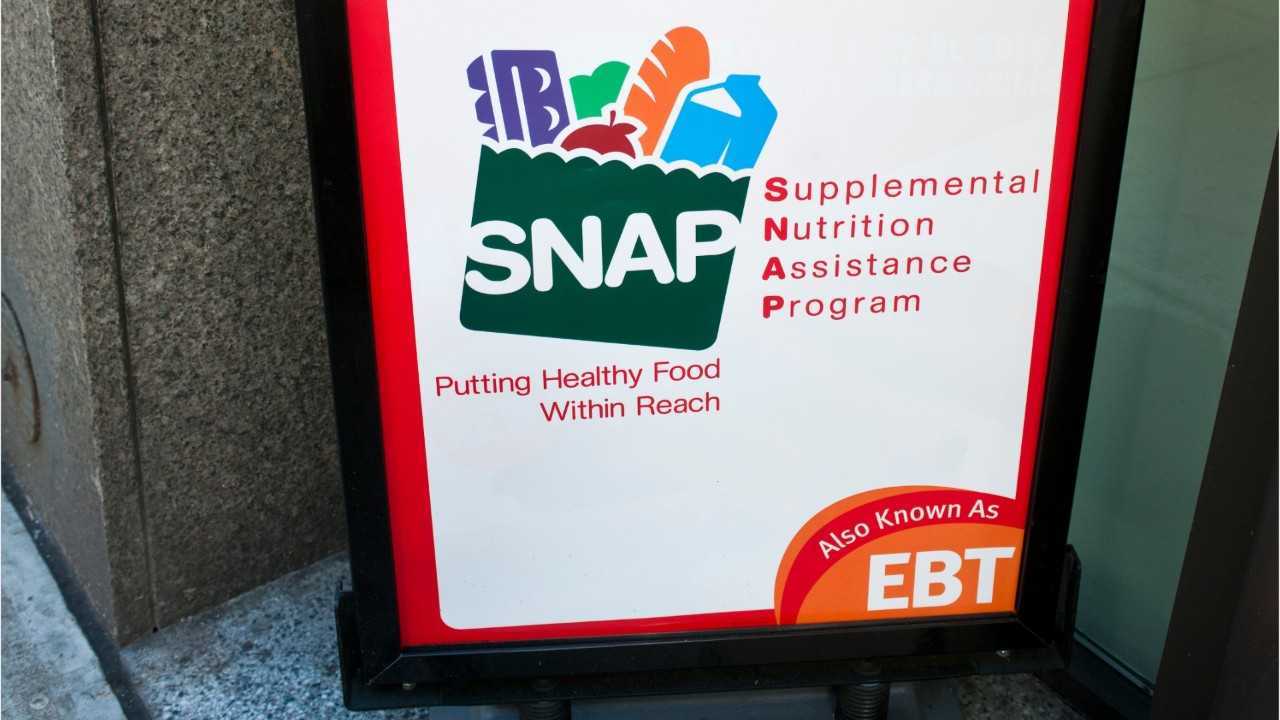 2.9M people in Florida rely on SNAP benefits | What to know as the ...