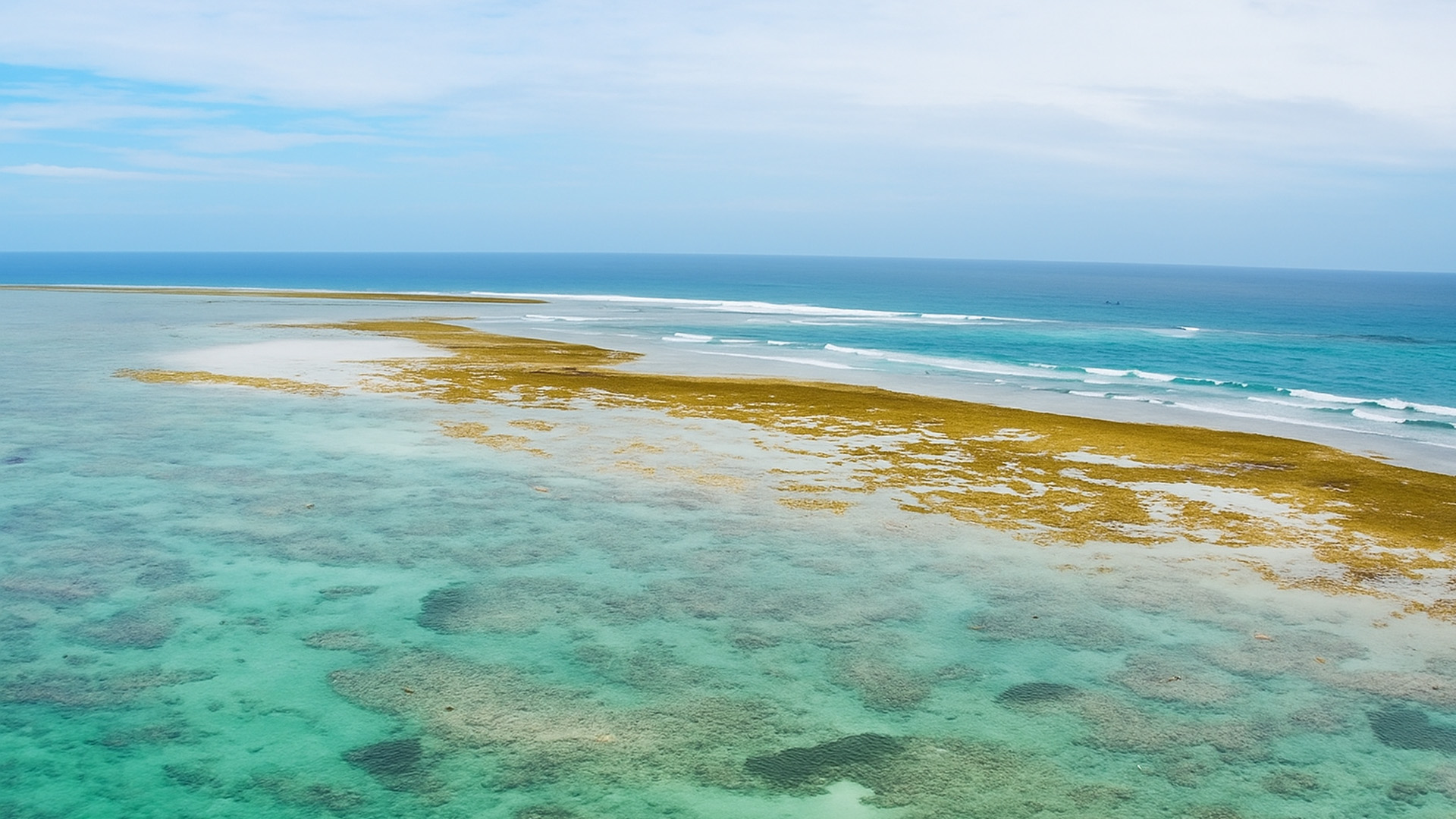 where-turquoise-waters-meet-coral-sands