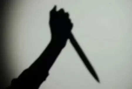 Ex-TV anchor allegedly stabs 80-year-old mother to death on Halloween ...