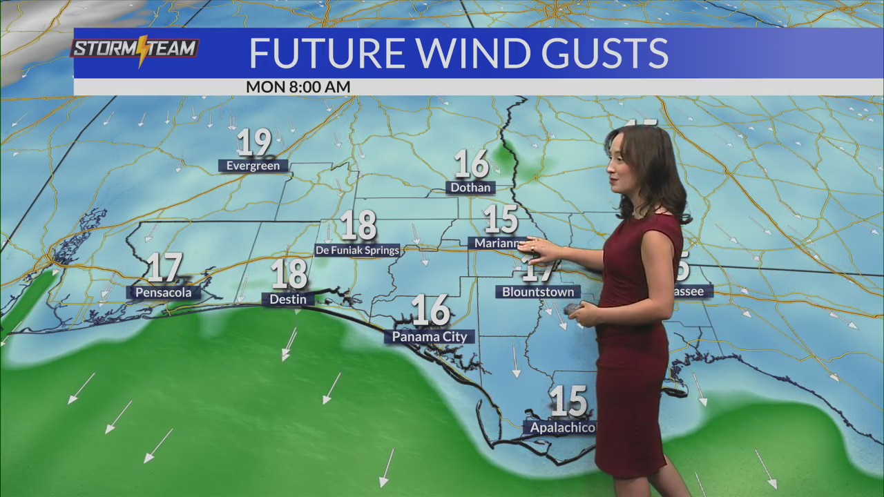 Sunday & Monday Forecast