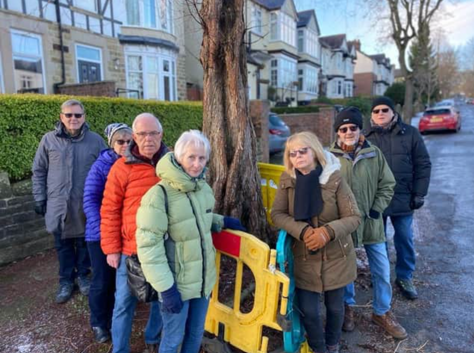 Sheffield trees: Dunkeld Road resurfacing update eight years after tree ...