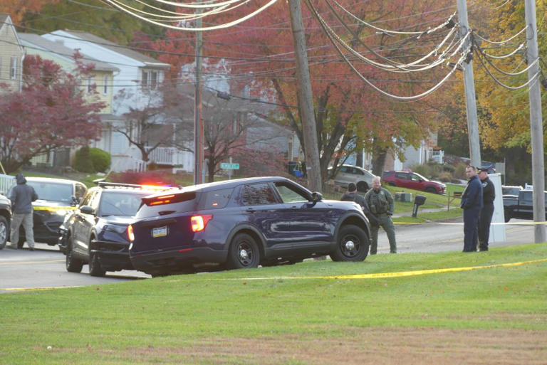 Woman recovering after stabbing attack; suspect shot, killed by police
