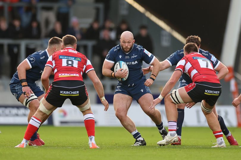 Gloucester Rugby player ratings from Sale Sharks PREM Rugby Cup win ...