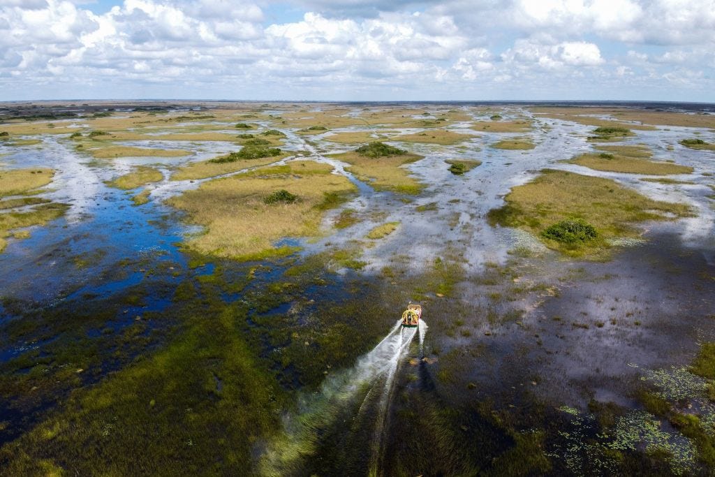 Planning first-time a visit to the Everglades? What to know