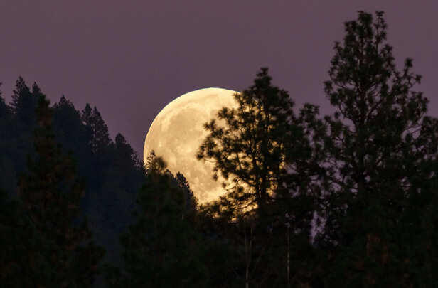 November 2025 Supermoon: Watch India's Biggest Full Moon
