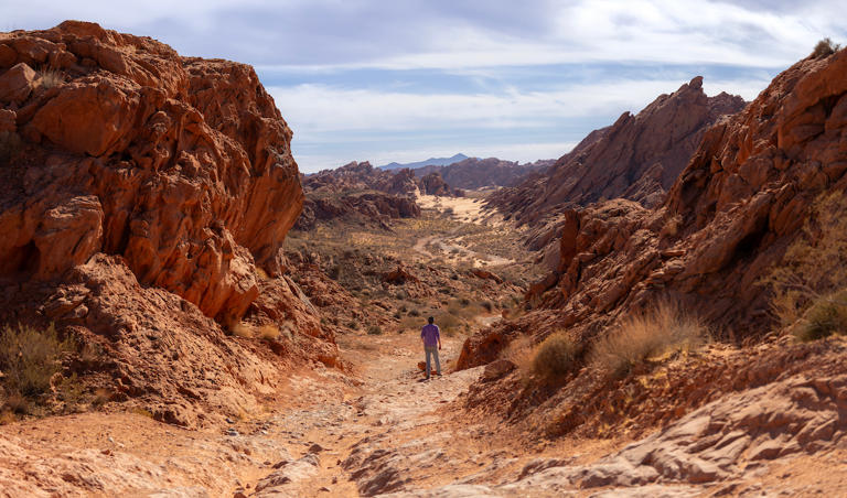 Discover Nevada's alien highways and cowboy adventures