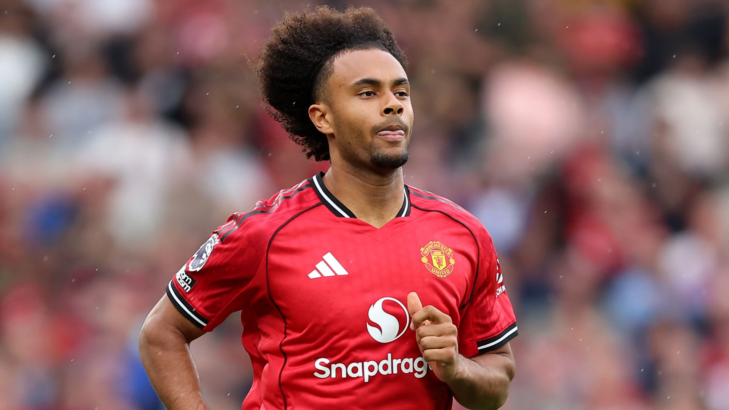 Roma open talks over possible move for Man Utd striker Joshua Zirkzee ...