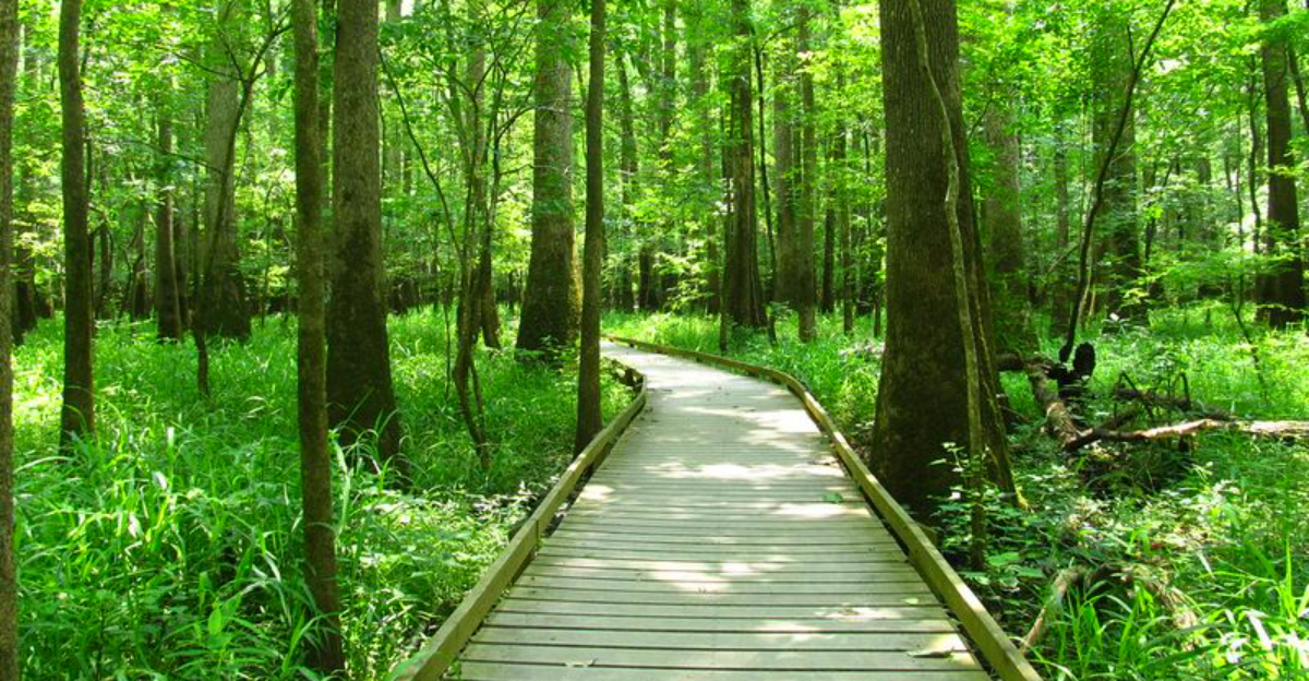 These 15 Underrated U S Landmarks Deserve A Spot On Your Travel List