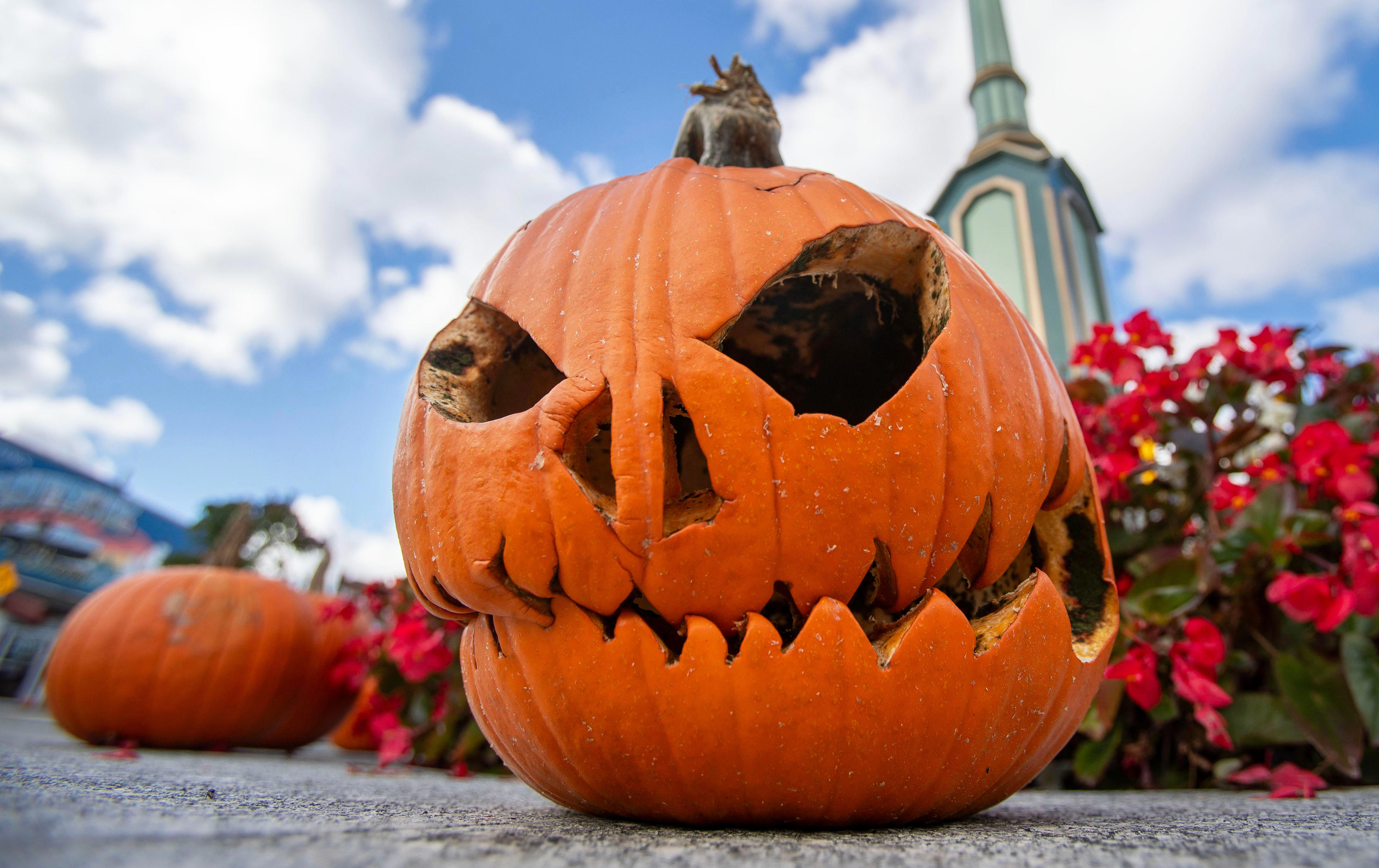 8 things to know as the week winds down in Manitowoc and Two Rivers