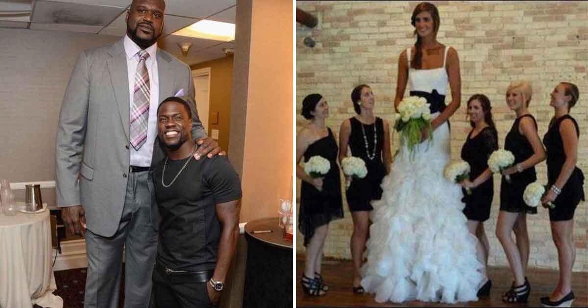 Pics Where Being Tall Isn't All It's Cracked Up To Be