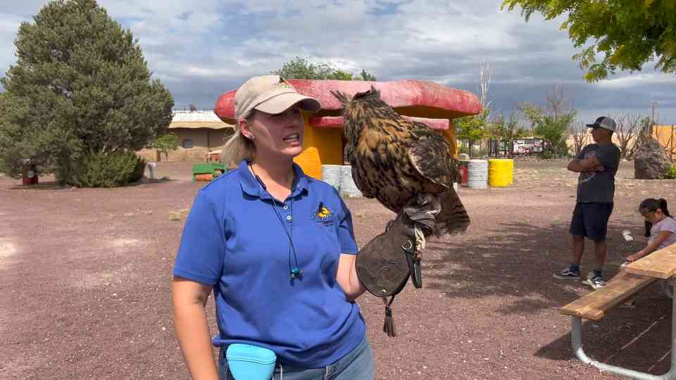 The Revival of Bedrock City and the Rise of Raptor Ranch