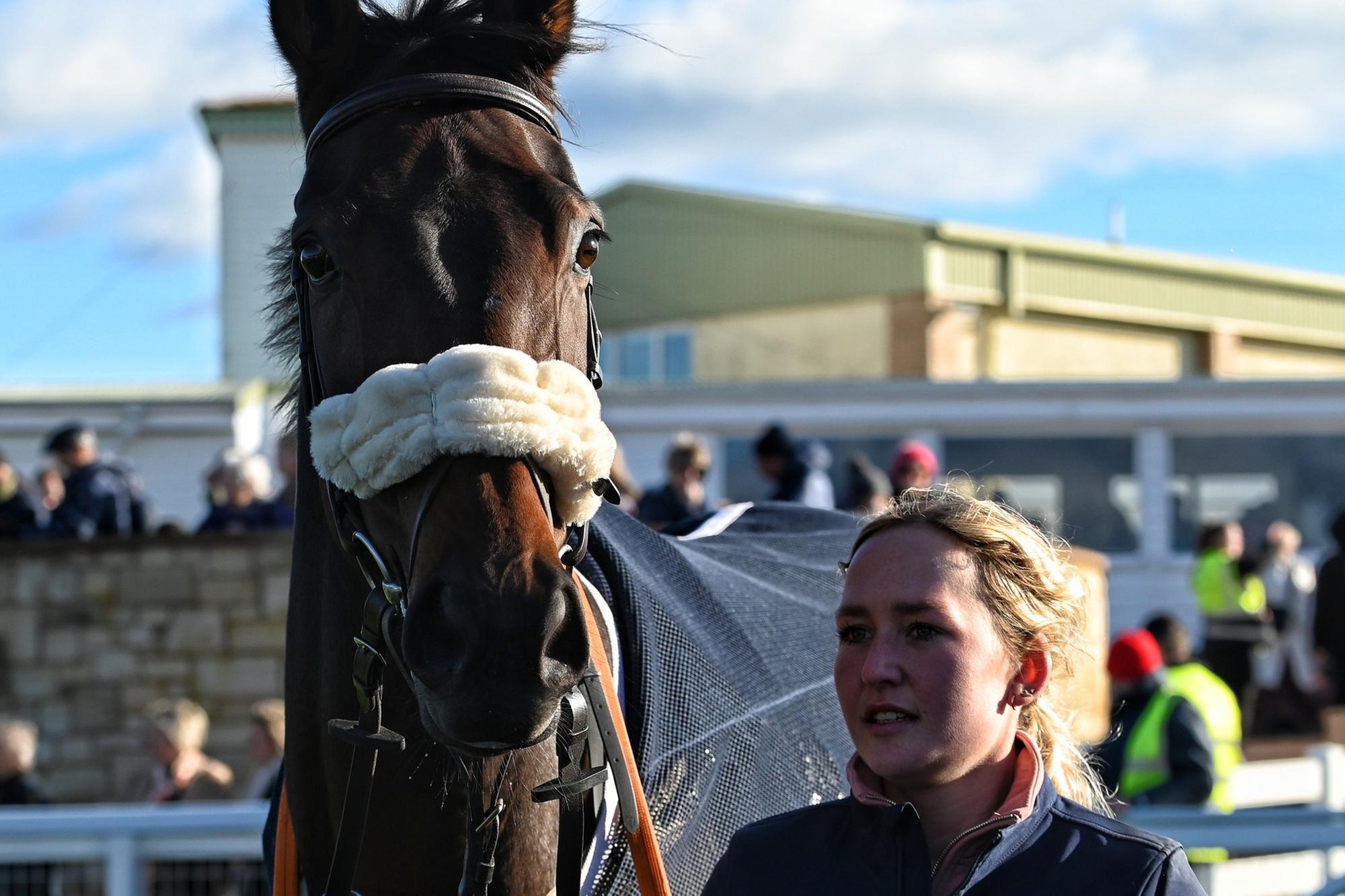 Ayr raid yields win for Borders racehorse trainer Jackie Stephen