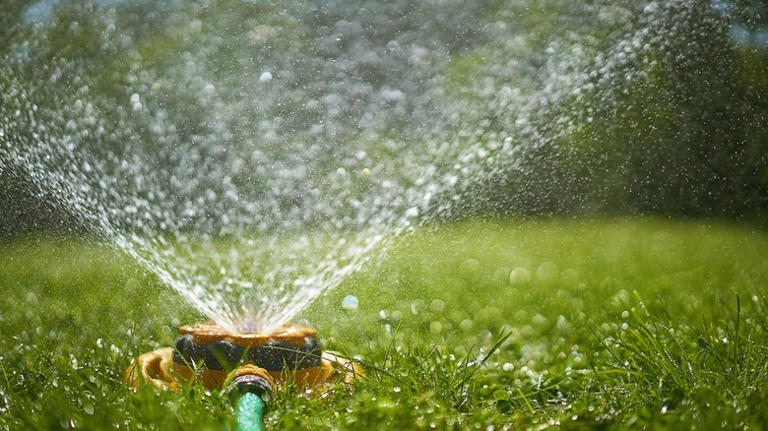 In-Ground Vs Above Ground Sprinklers: Which Is Best For Your Yard
