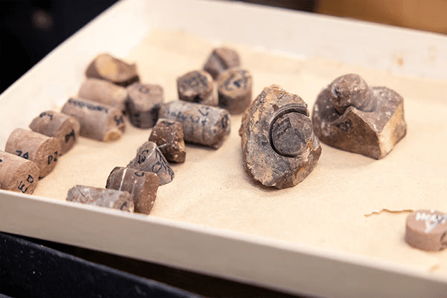 Scientists Solve a 500-Million-Year-Old Magnetic Mystery Hidden in ...