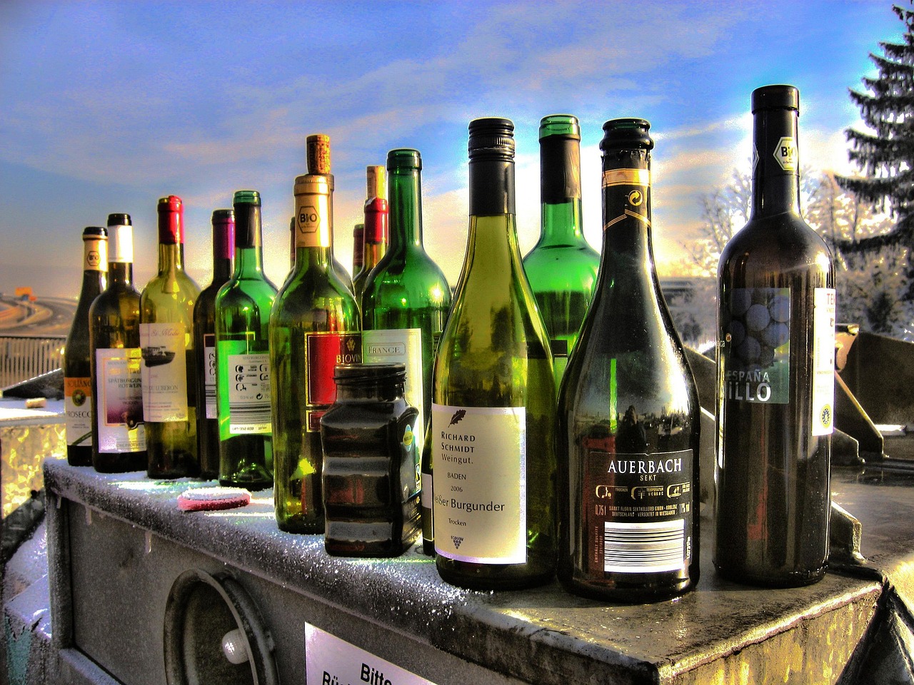 Excessive Alcohol Consumption Patterns (Image Credits: Pixabay)