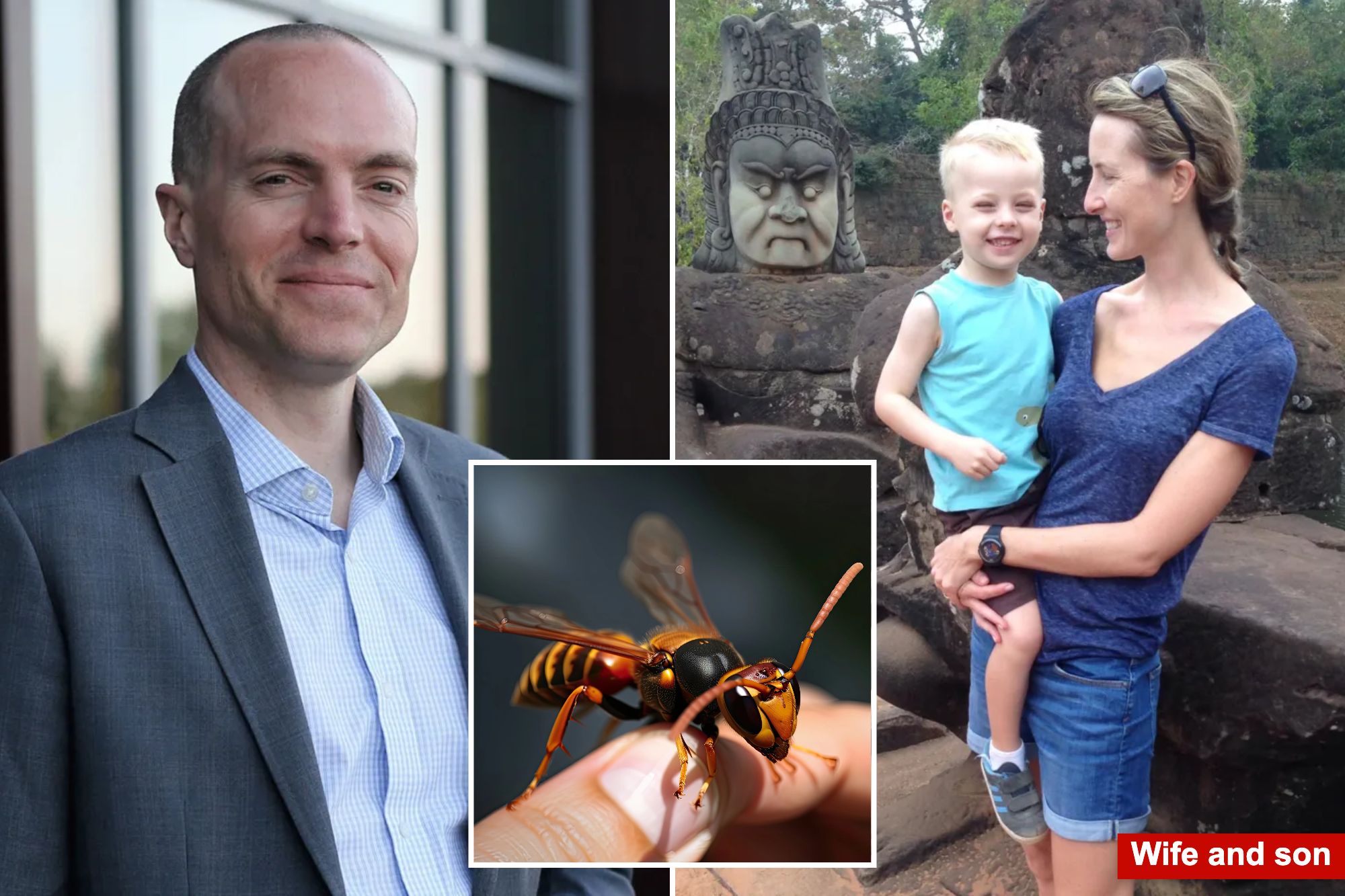 Director of elite private school, son stung to death by swarm of Asian