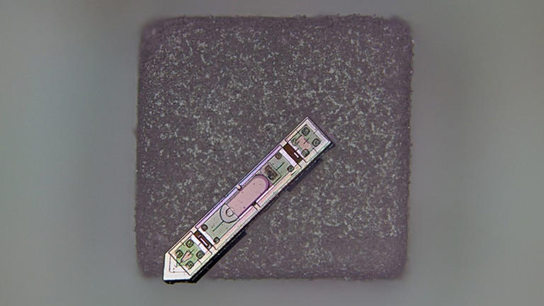 Neural implant tinier than a grain of salt tracks brain activity ...