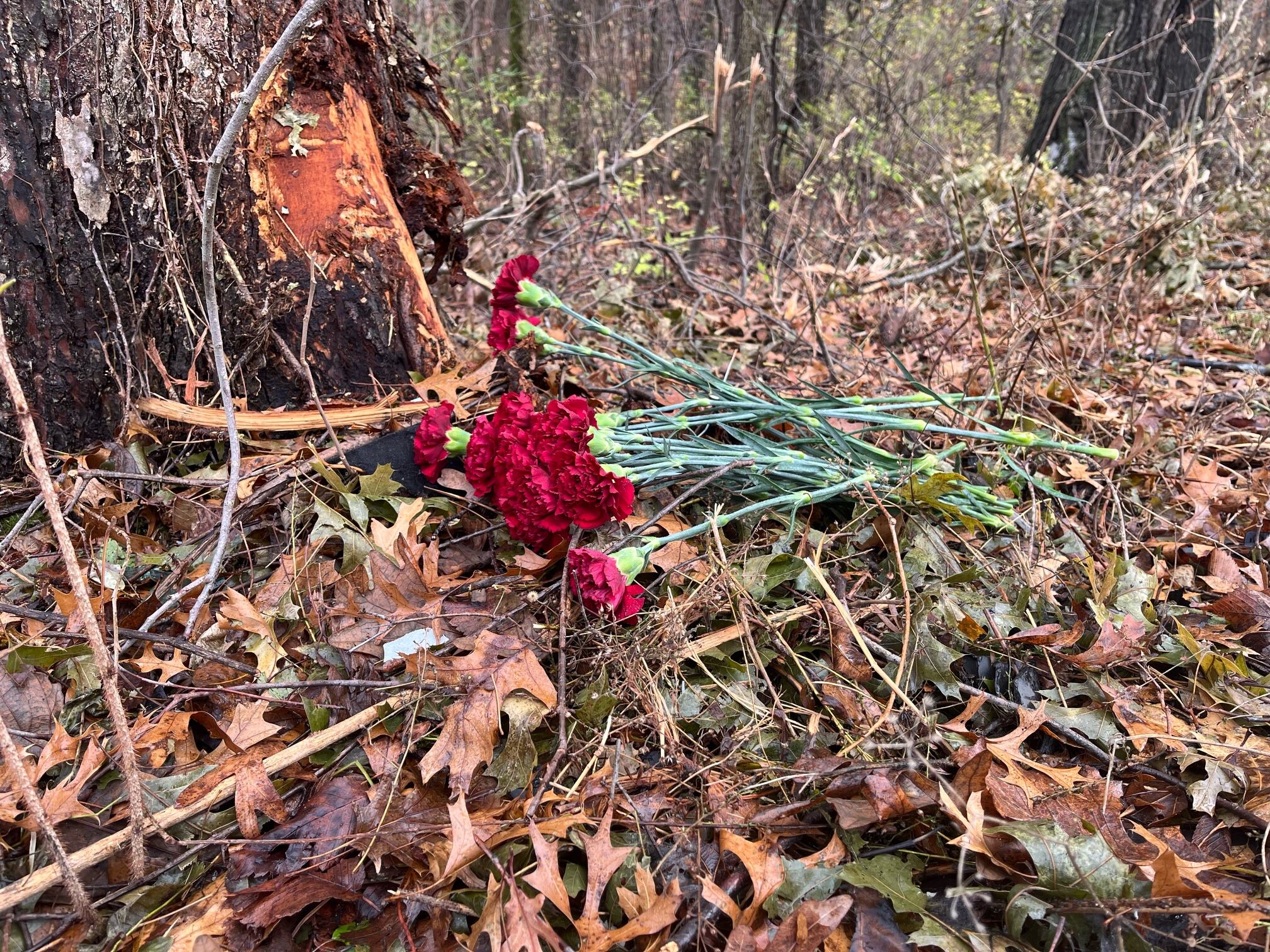 Family files wrongful death lawsuit against Tesla after deadly Verona crash
