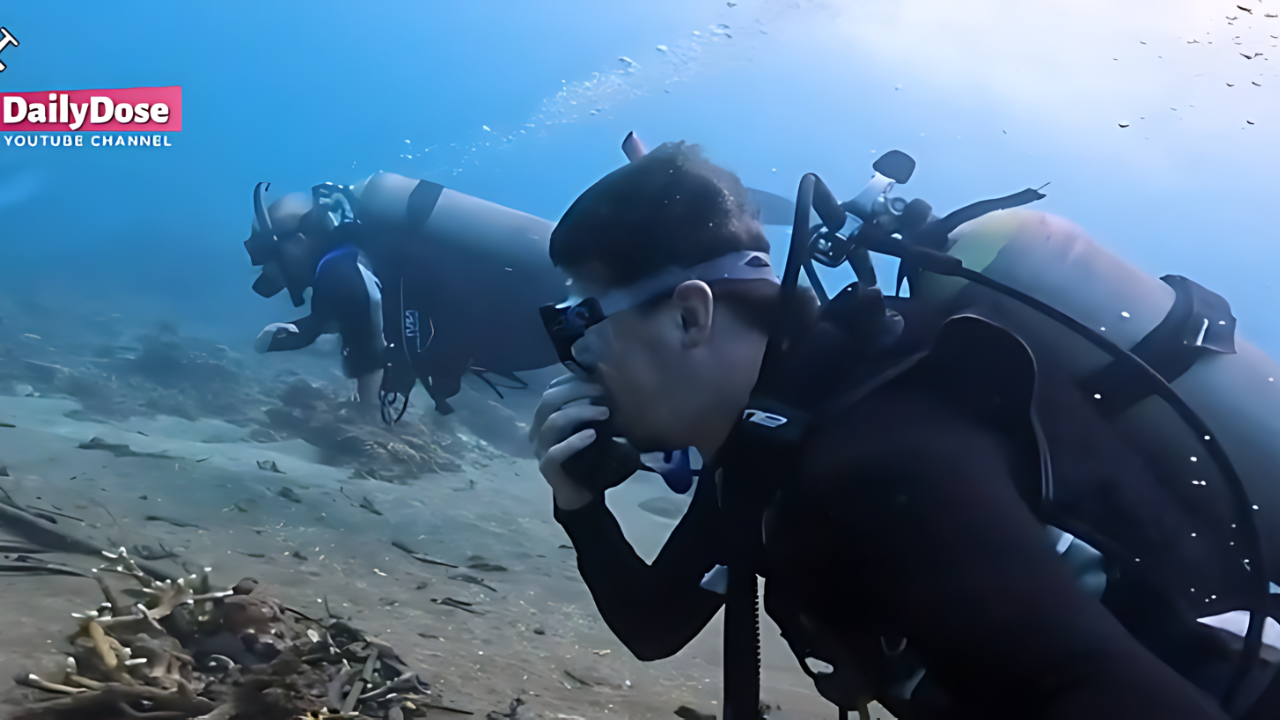 Divers explore a sunken plane and discover something inside