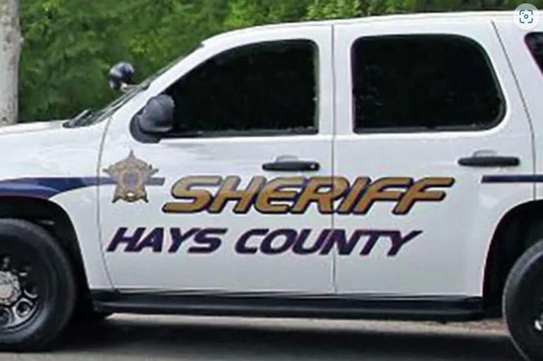 Dead fox in Hays County tests positive for rabies; officials seek dog ...