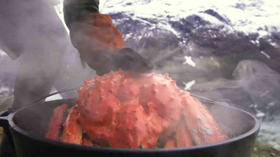Eating Giant King Crab Straight from an Ice Block