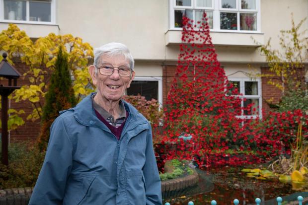 Wrexham care homes create stunning 1,111-poppy Remembrance tribute