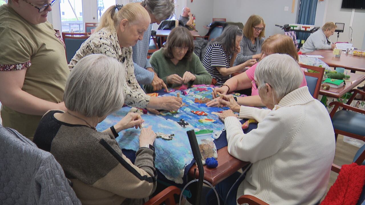 N.S. seniors say daily lives affected by ageism