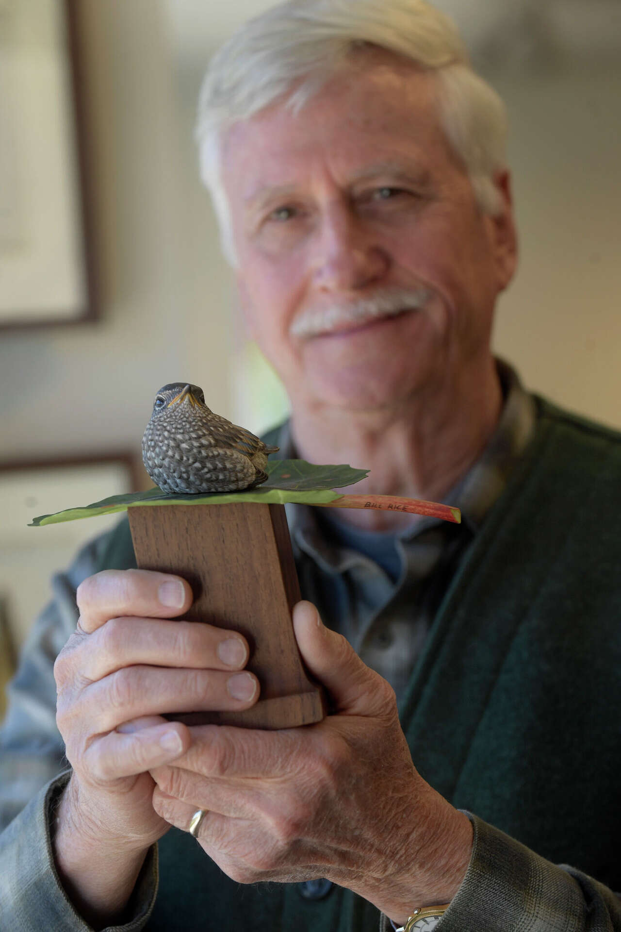 CT artist uses birding skills to craft intricate bird sculptures