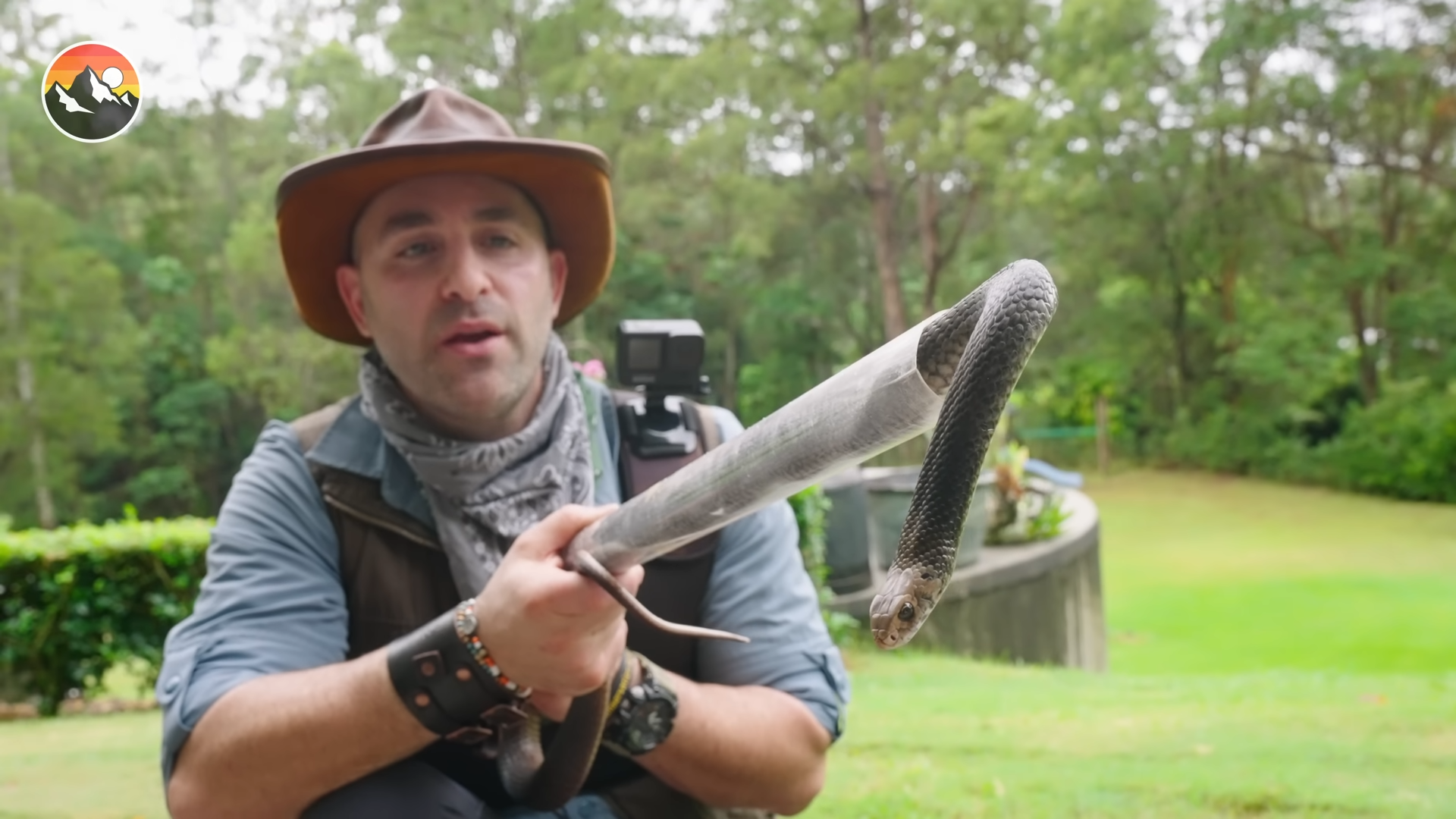 How a brown snake got into a household toilet