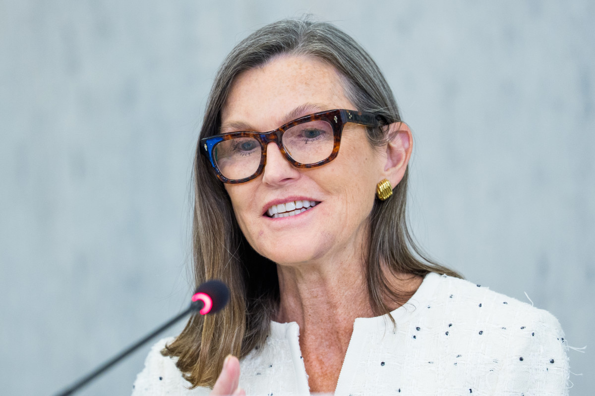 Cathie Wood buys $59M in battered crypto stocks as markets crash<br>