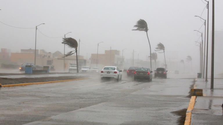 Heladas, lluvias y evento de “Norte”: así afectará el frente frío 12 al país