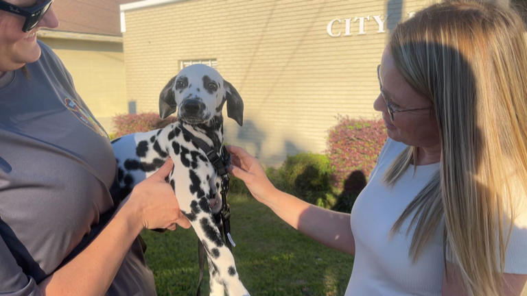 ‘Ruby to the Rescue’: Wiggins Fire Department introduces newest four ...