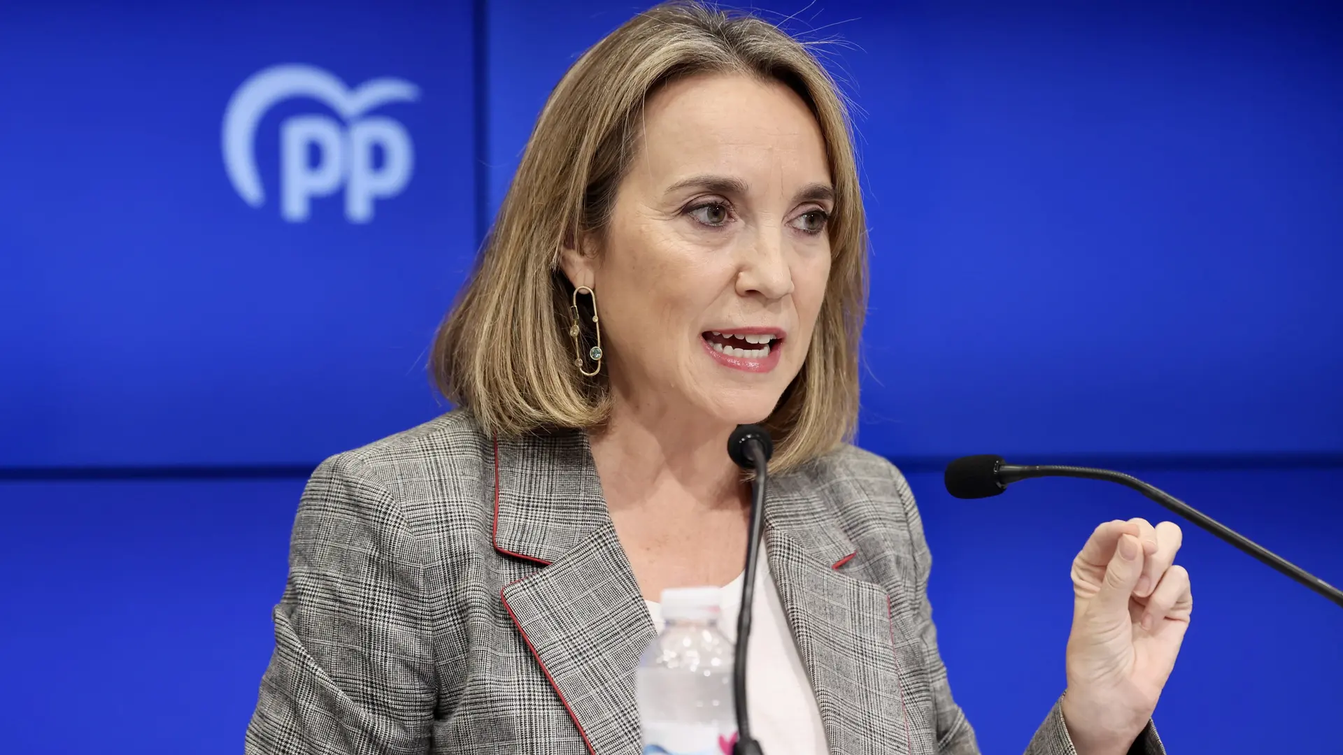 El PP pedirá a la Audiencia Nacional que expulse al PSOE del caso Koldo ...
