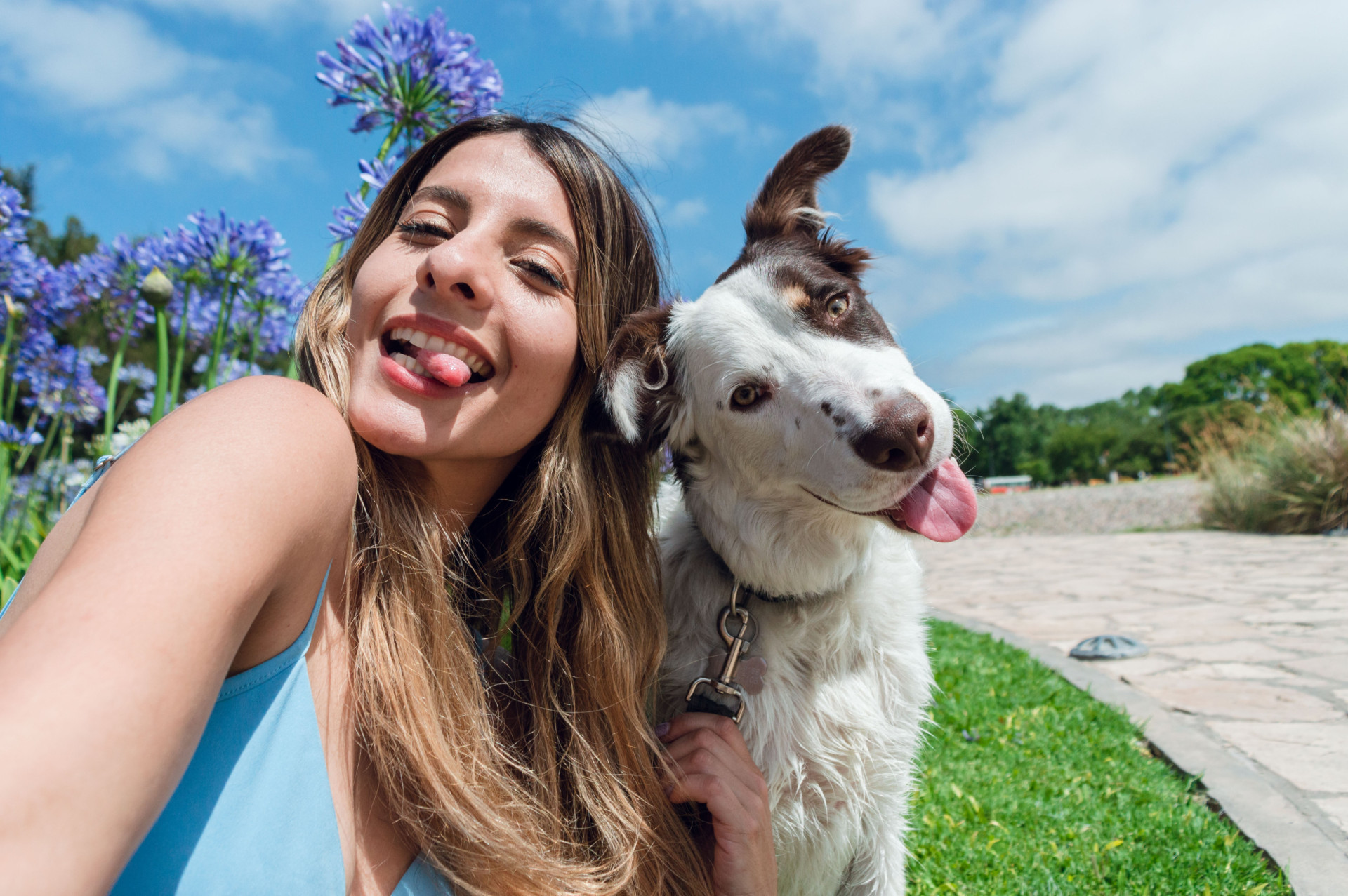 Se você tem animais de estimação (ou quer ter), esses truque vão ...