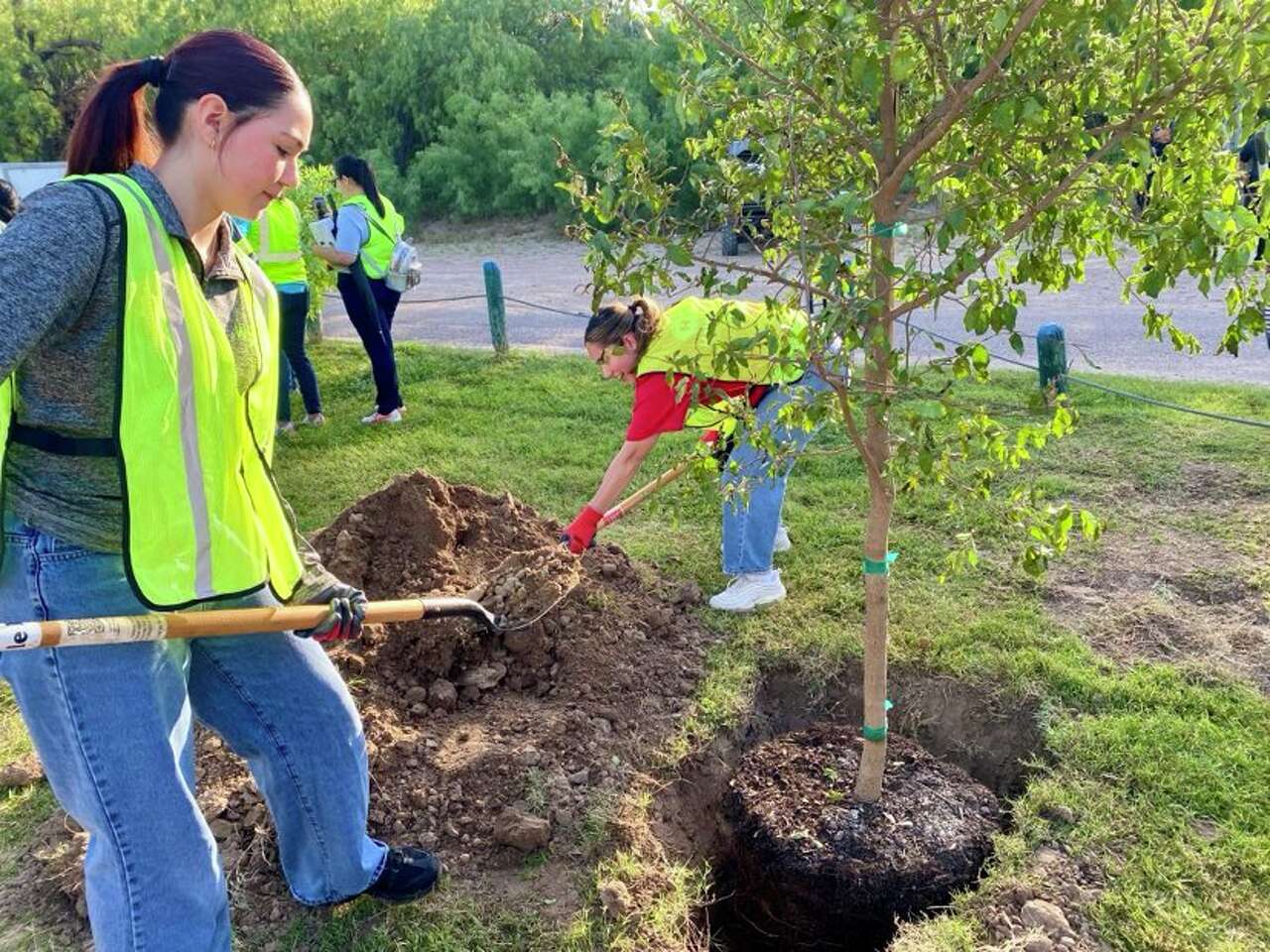 Keep Laredo Beautiful seeks partners for Arbor Day booths, free tree event