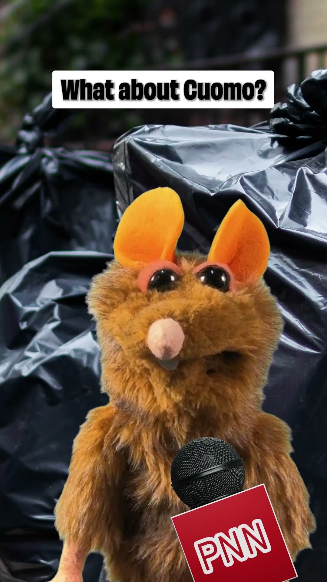 NYC Rats speak out about Mamdani, Cuomo, and Sliwa