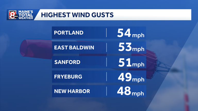 Tens of thousands lose power as strong winds bring down branches, power ...