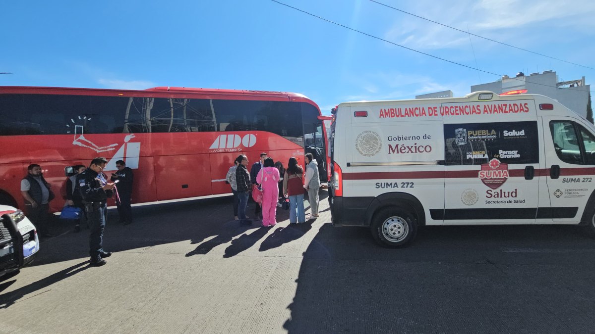 Mujer es atropellada por autobús cuando intentaba cruzar la calle cerca ...
