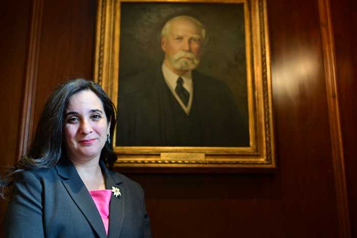 Brooklyn Bar Association’s first LGBT president brings her personal ...
