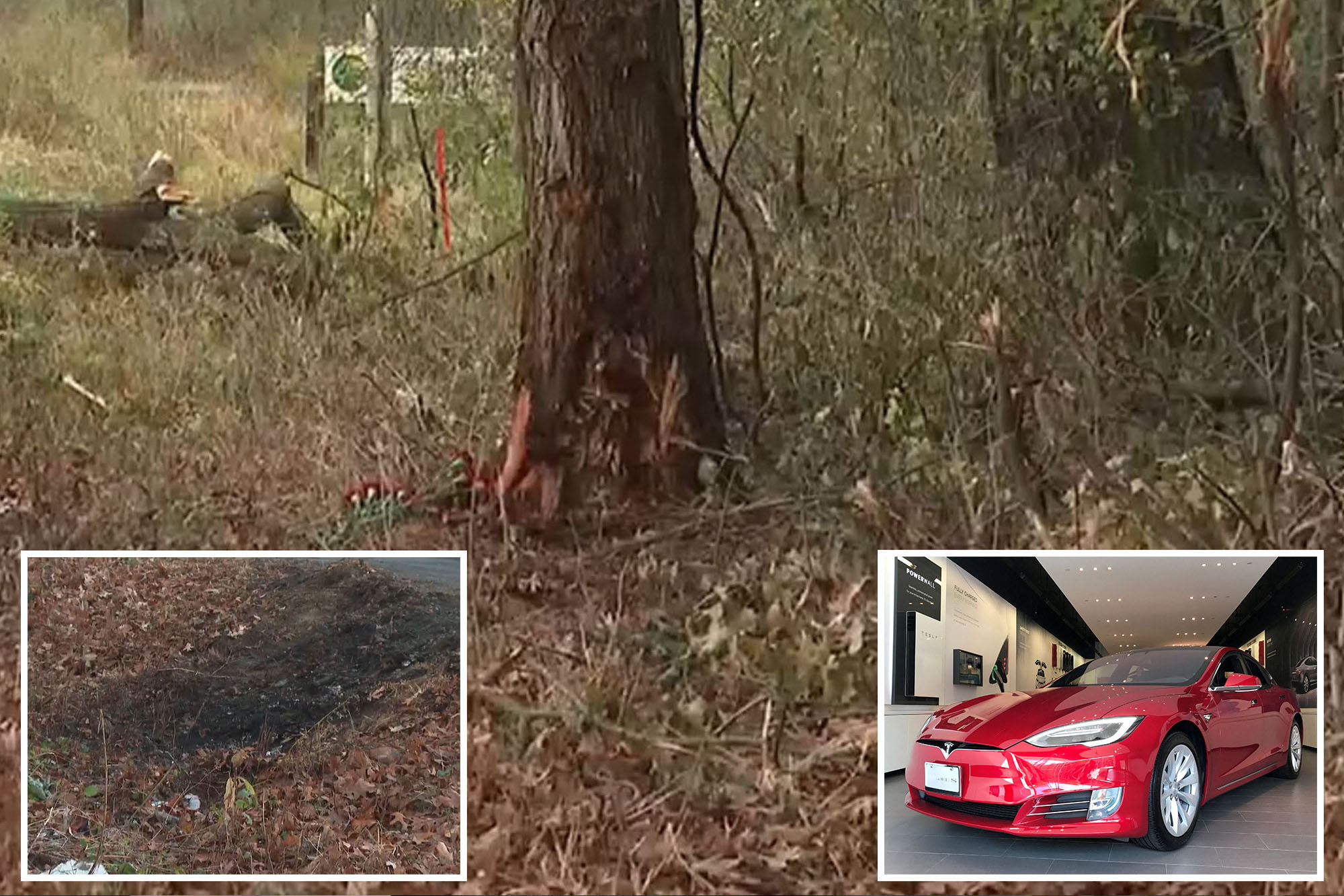 Children sue Tesla after parents killed in fiery crash over alleged ...